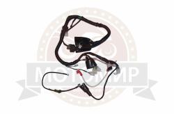 Большая Картинка