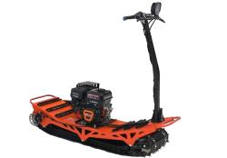 Большая Картинка