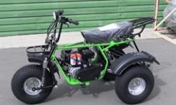 Большая Картинка