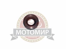 Большая Картинка