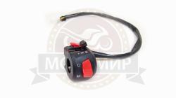 Большая Картинка