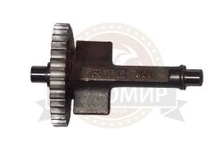 Большая Картинка