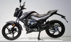 Большая Картинка