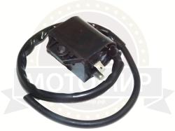 Большая Картинка