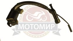 Большая Картинка