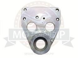 Большая Картинка