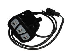 Большая Картинка