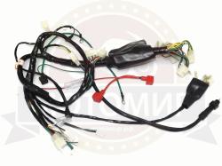 Большая Картинка