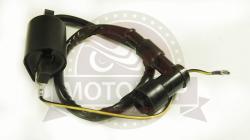 Большая Картинка