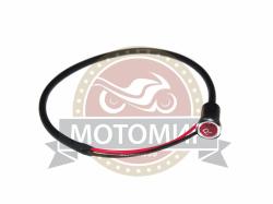 Большая Картинка