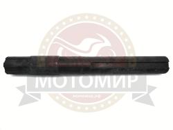 Большая Картинка