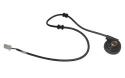 Большая Картинка