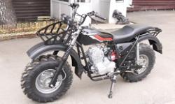 Большая Картинка