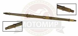 Большая Картинка