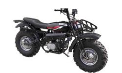 Большая Картинка