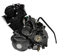 Большая Картинка