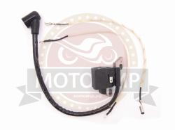 Большая Картинка