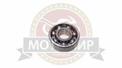 Большая Картинка