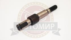 Большая Картинка