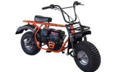 Большая Картинка