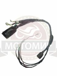 Большая Картинка