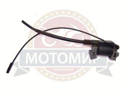 Большая Картинка