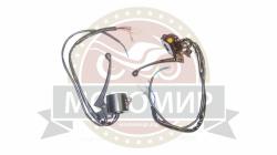 Большая Картинка