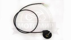 Большая Картинка