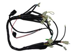 Большая Картинка