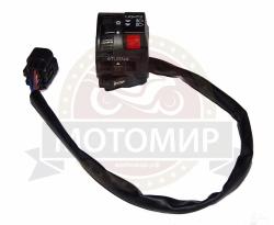 Большая Картинка