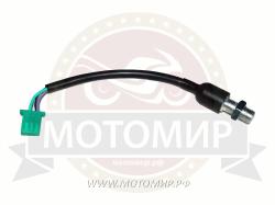 Большая Картинка