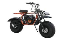 Большая Картинка