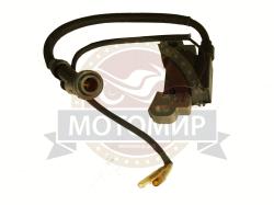 Большая Картинка