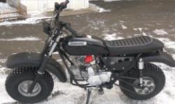 Большая Картинка