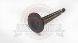 Большая Картинка