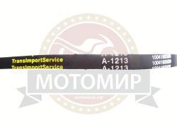 Большая Картинка