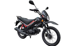 Большая Картинка Большая Картинка