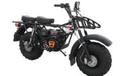 Большая Картинка