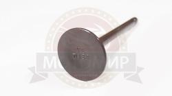 Большая Картинка