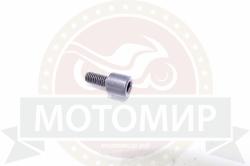 Большая Картинка