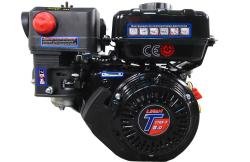 Большая Картинка