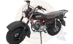 Большая Картинка