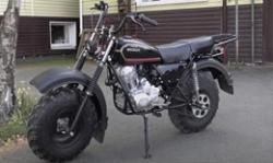 Большая Картинка