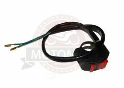 Большая Картинка