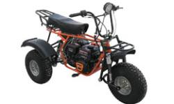 Большая Картинка