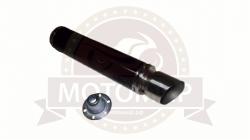 Большая Картинка