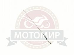 Большая Картинка