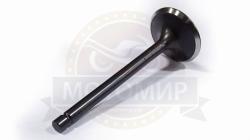 Большая Картинка