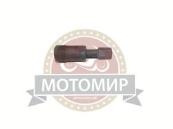 Большая Картинка