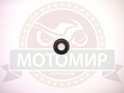 Большая Картинка